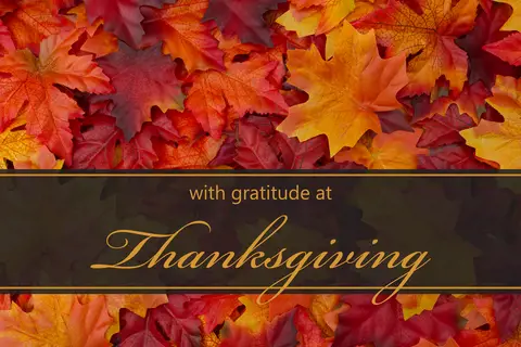Gratitude on this Thanksgiving